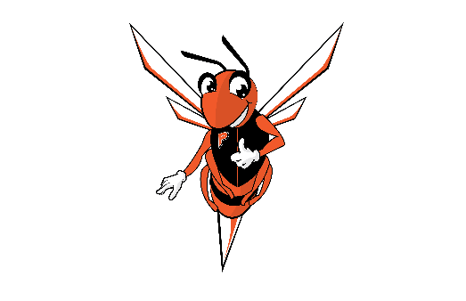 The Hornet is the Mascot for the Plattsburgh City School District and all the schools it services.